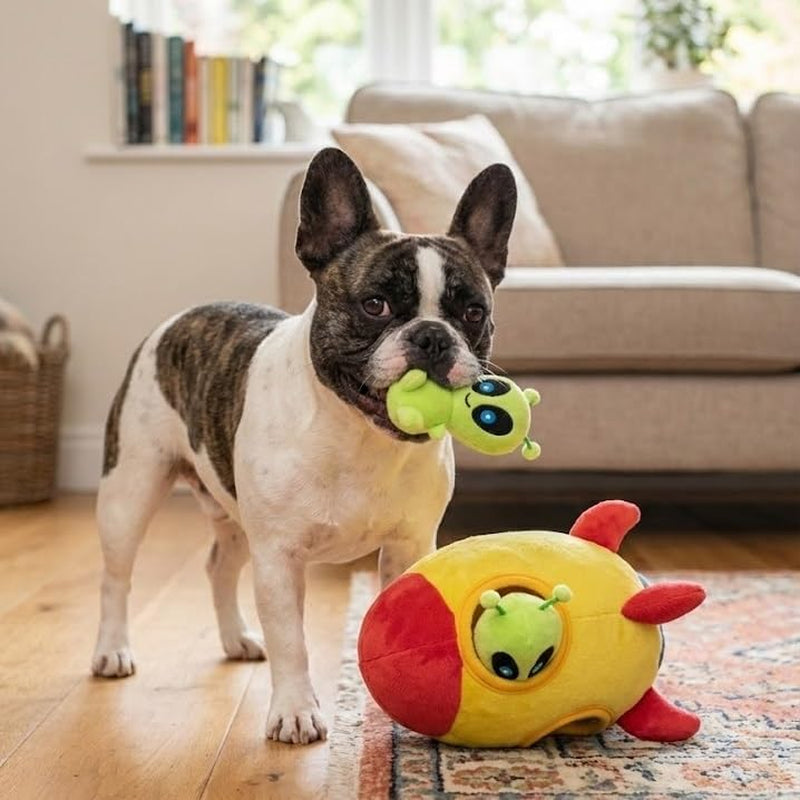 - Interactive Squeaky Plush Hide and Seek Squirrel Type Puzzle Toy for Dogs, Small Size (Spaceship and Aliens)