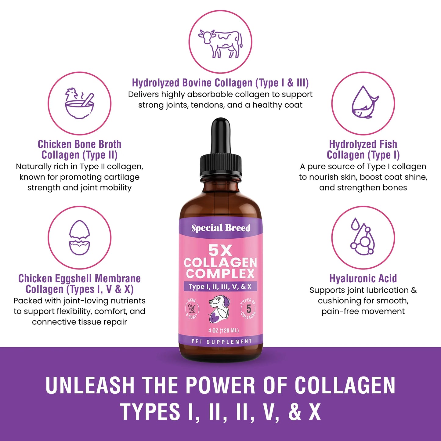 Premium Liquid Collagen for Dogs - 5X Collagen Types I, II, II, V & X - Support for Joints, Skin, Coat, Bone, Immune System & Hips - Collagen Supplement with Hyaluronic Acid - Made in USA - 4Oz