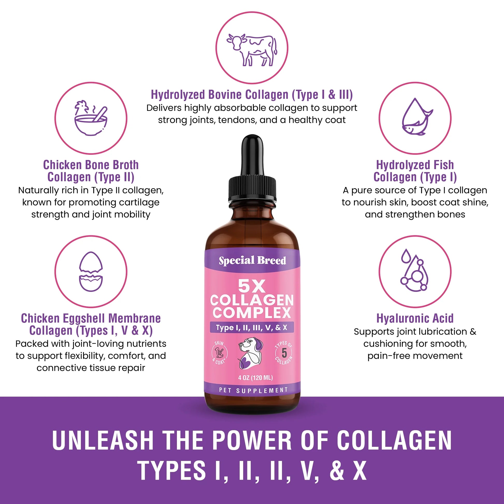 Premium Liquid Collagen for Dogs - 5X Collagen Types I, II, II, V & X - Support for Joints, Skin, Coat, Bone, Immune System & Hips - Collagen Supplement with Hyaluronic Acid - Made in USA - 4Oz
