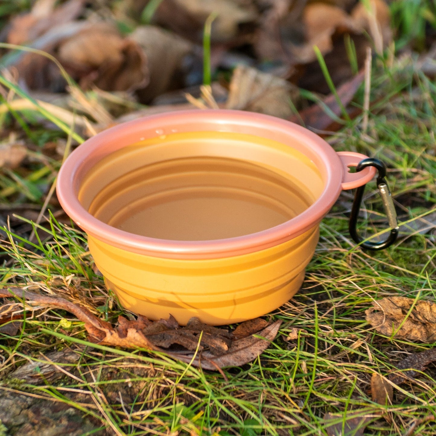 Made Easy Kit Portable Collapsible Travel Pet Bowl for Water or Food, in 2 Sizes