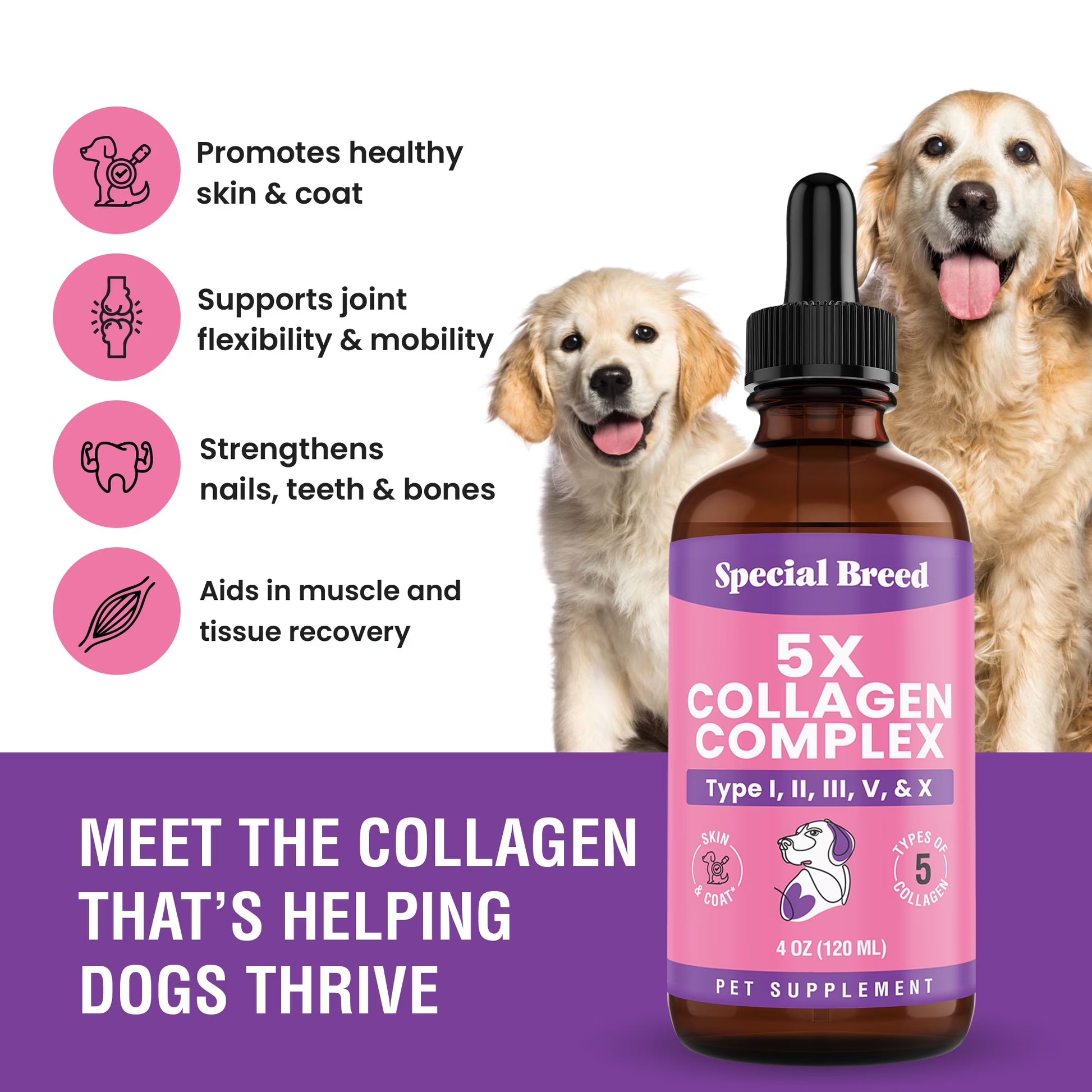 Premium Liquid Collagen for Dogs - 5X Collagen Types I, II, II, V & X - Support for Joints, Skin, Coat, Bone, Immune System & Hips - Collagen Supplement with Hyaluronic Acid - Made in USA - 4Oz