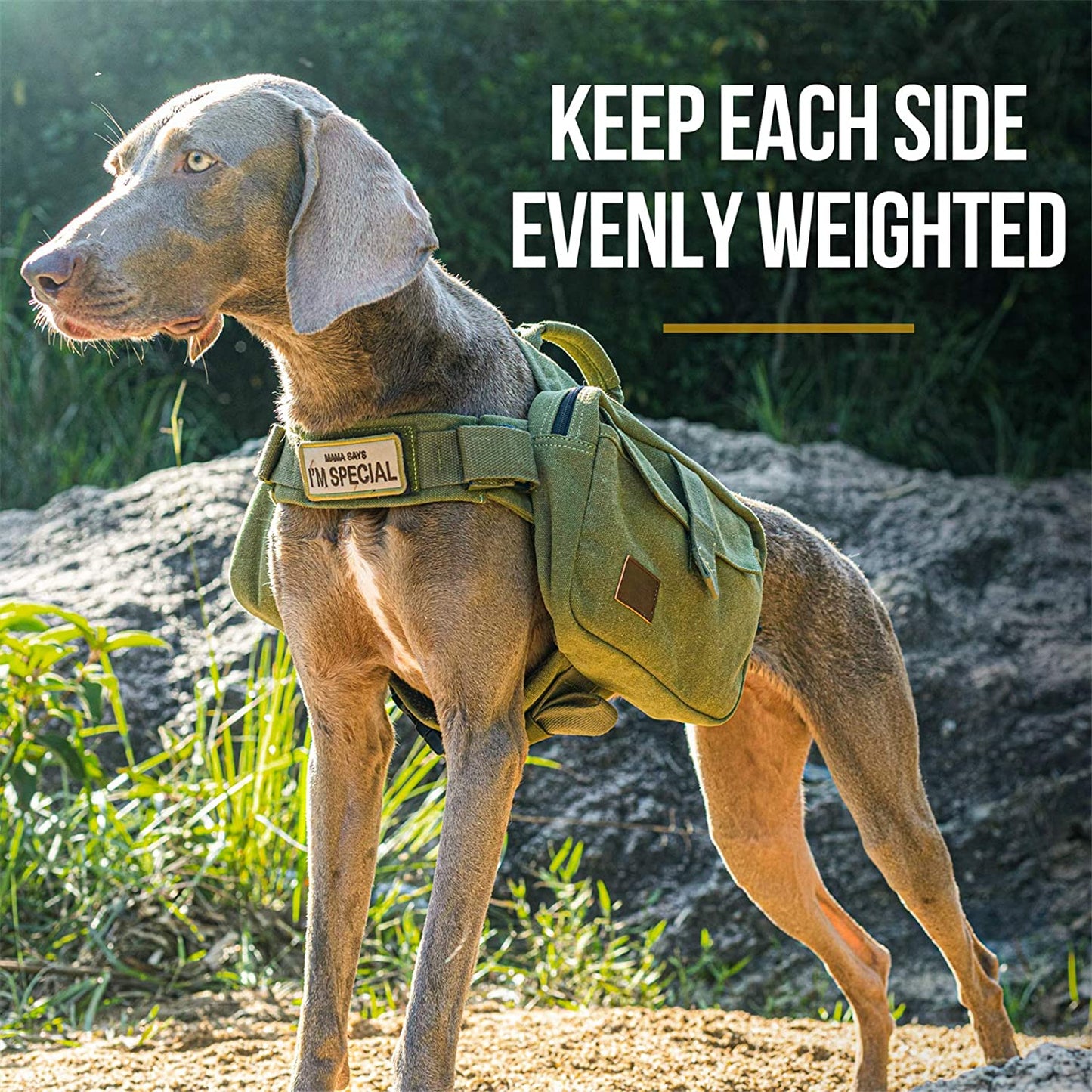 Dog Pack Hound Travel Camping Hiking Backpack Saddle Bag Rucksack for Medium & Large Dog (Green, Large)
