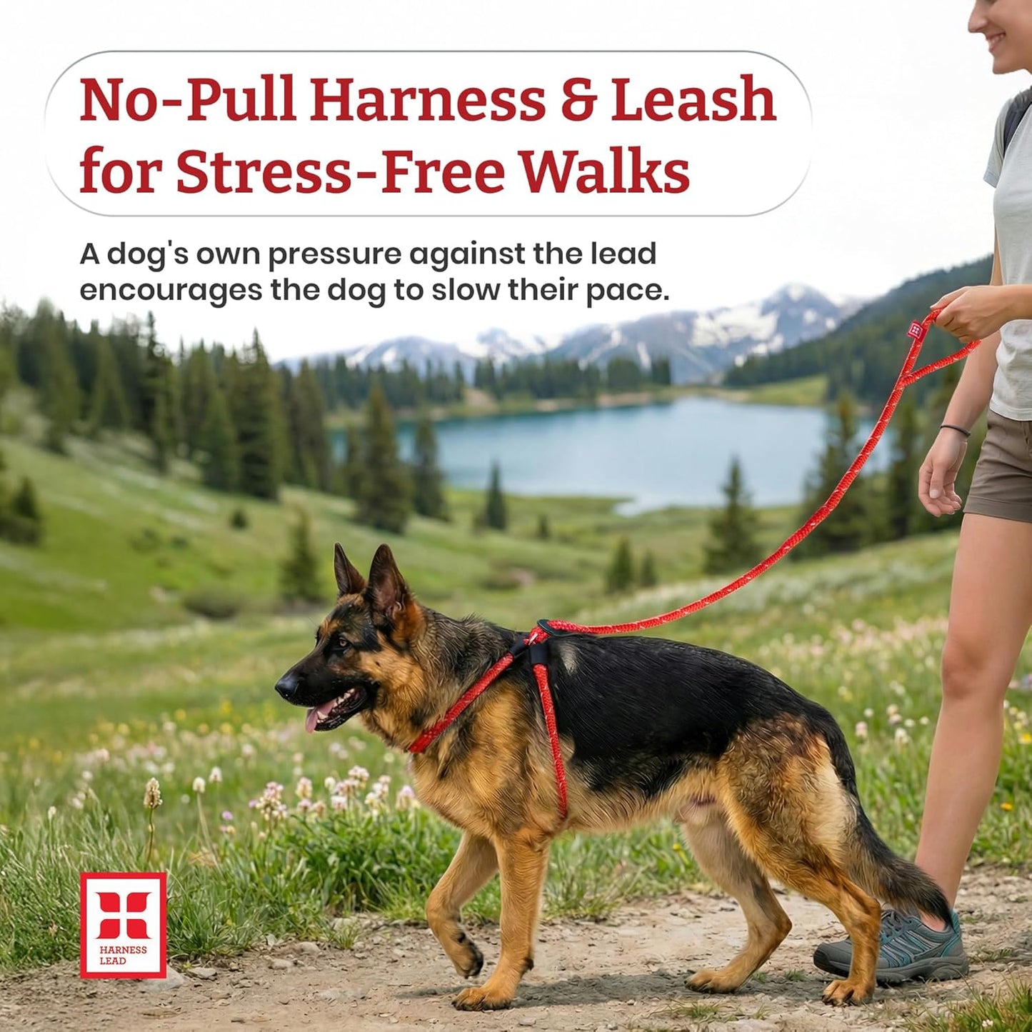 No Pull Dog Harness and Leash Set, anti Pull Dog Harness for All Breeds and Sizes, One-Piece Cushioned Rope Design Safely Prevents Escaping and Pulling (Small/Medium, Orange/Reflective)