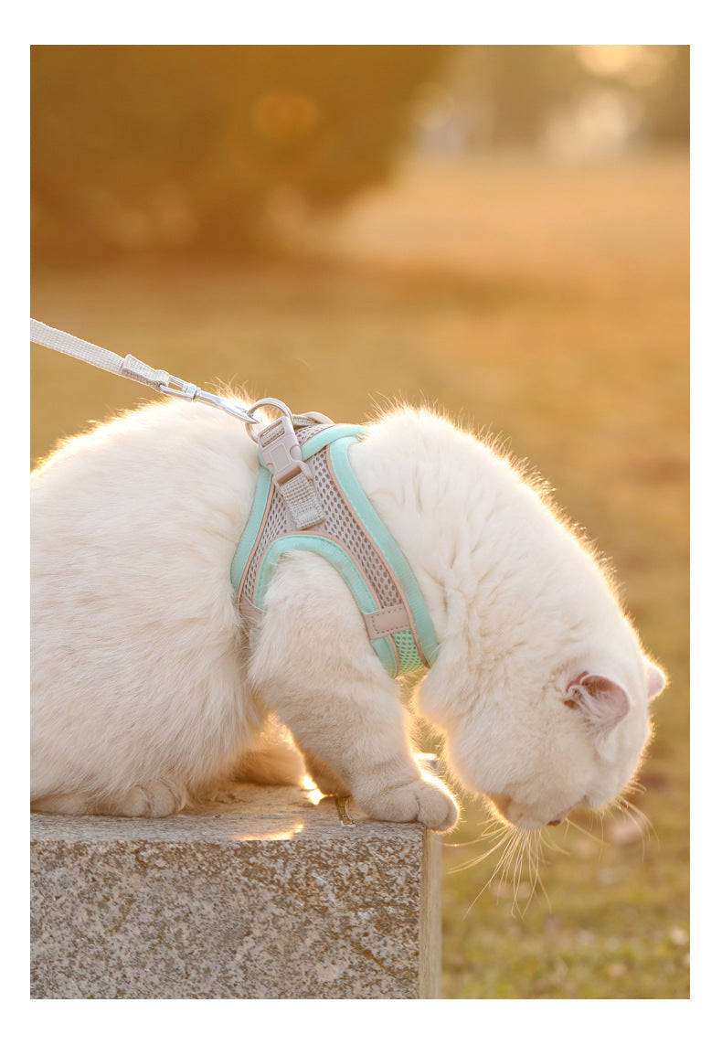 Reflective Adjustable Pet Harness – Breathable Vest for Small & Medium Dogs