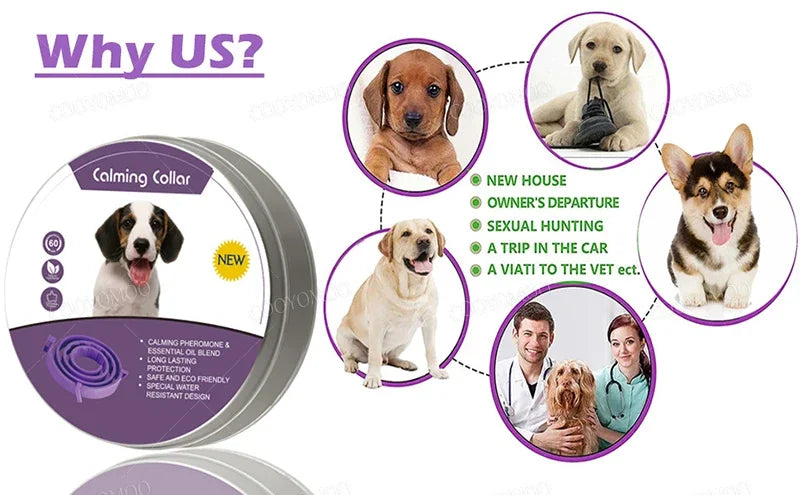 Calming Collar for Dogs & Cats | Natural Essential Oils | Anxiety & Stress Relief | Adjustable & Waterproof | 60-Day Wear