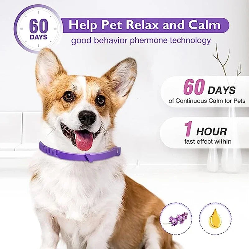 Calming Collar for Dogs & Cats | Natural Essential Oils | Anxiety & Stress Relief | Adjustable & Waterproof | 60-Day Wear