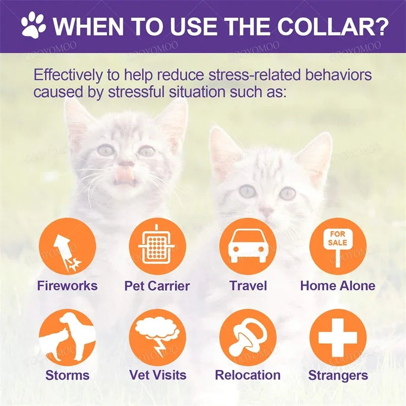 Calming Collar for Dogs & Cats | Natural Essential Oils | Anxiety & Stress Relief | Adjustable & Waterproof | 60-Day Wear
