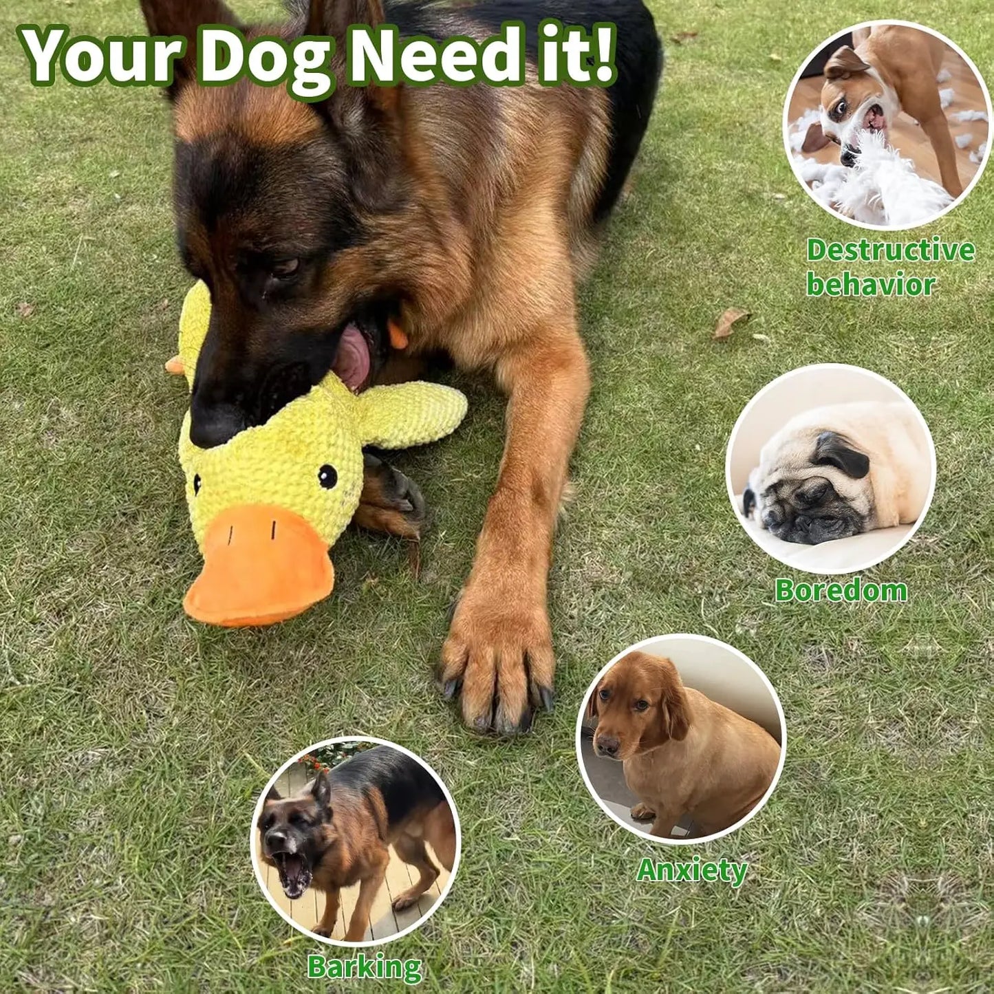 Quacking Duck Plush Dog Toy