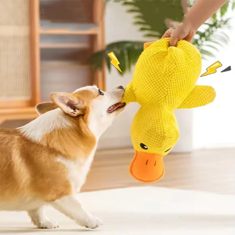 Quacking Duck Plush Dog Toy