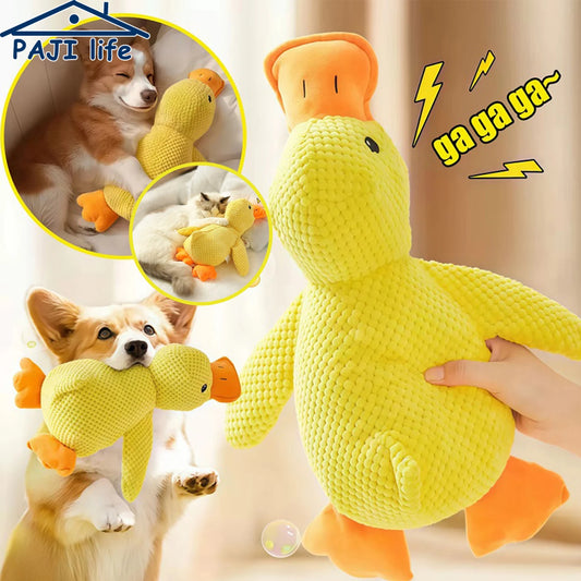 Quacking Duck Plush Dog Toy