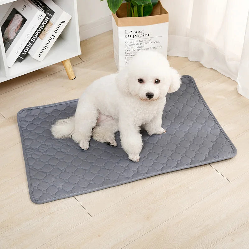 Washable Dog Training Pad – Reusable Absorbent Pet Mat