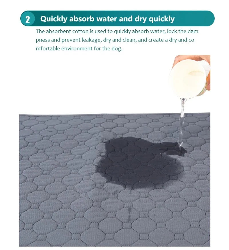 Washable Dog Training Pad – Reusable Absorbent Pet Mat
