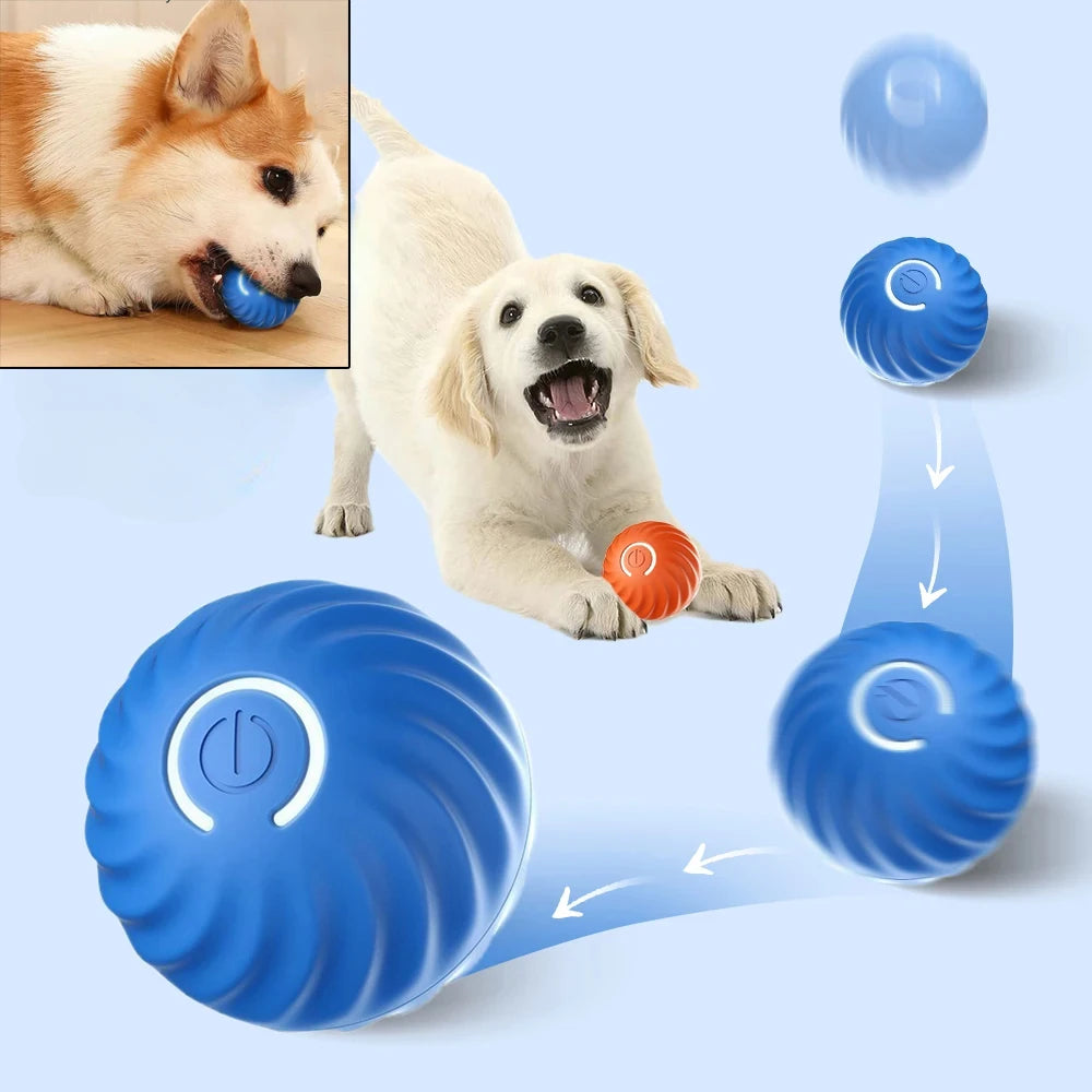 Automatic Rolling Dog Toy Ball
