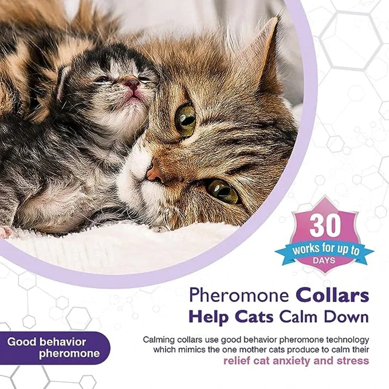 Calming Collar for Dogs & Cats | Natural Essential Oils | Anxiety & Stress Relief | Adjustable & Waterproof | 60-Day Wear