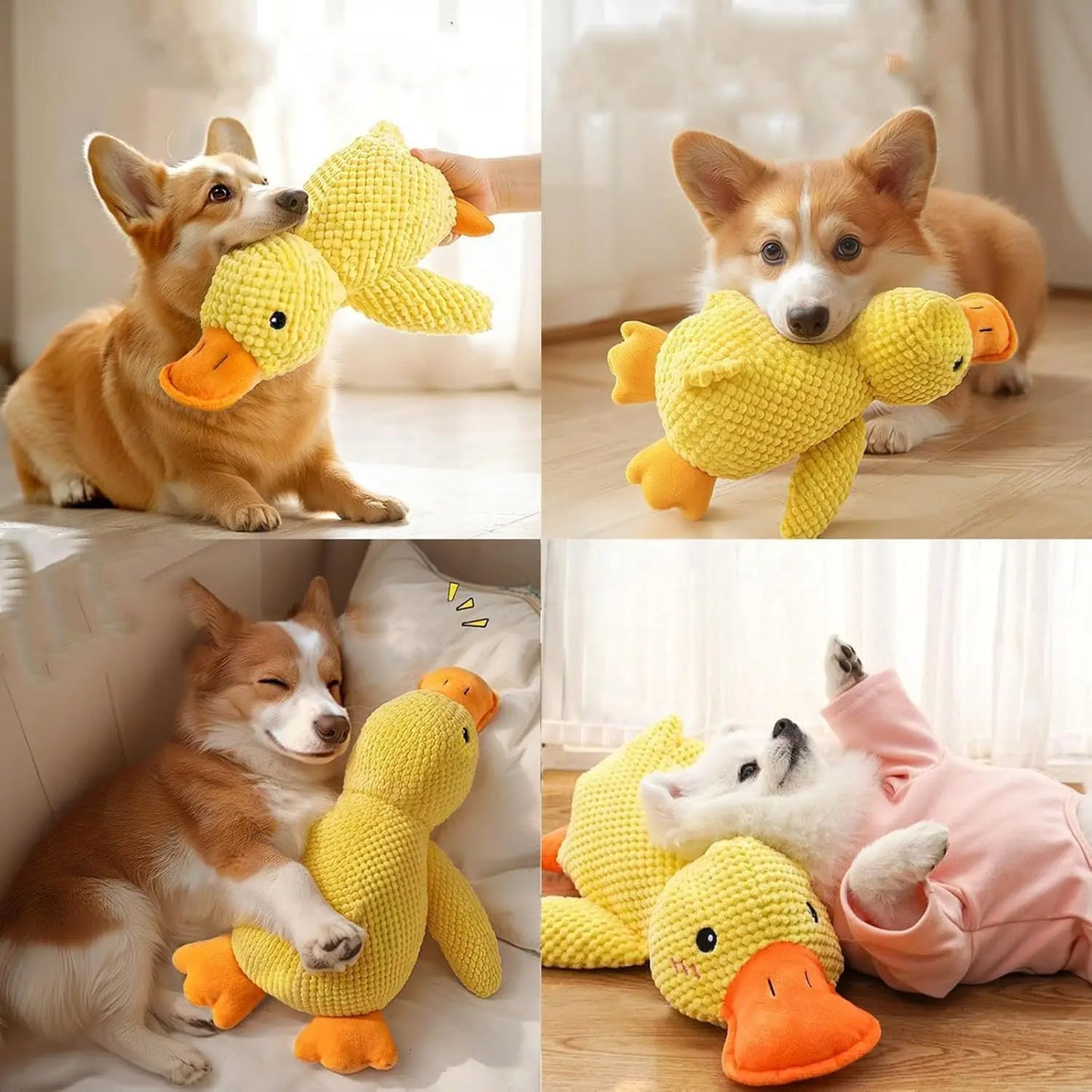 Quacking Duck Plush Dog Toy