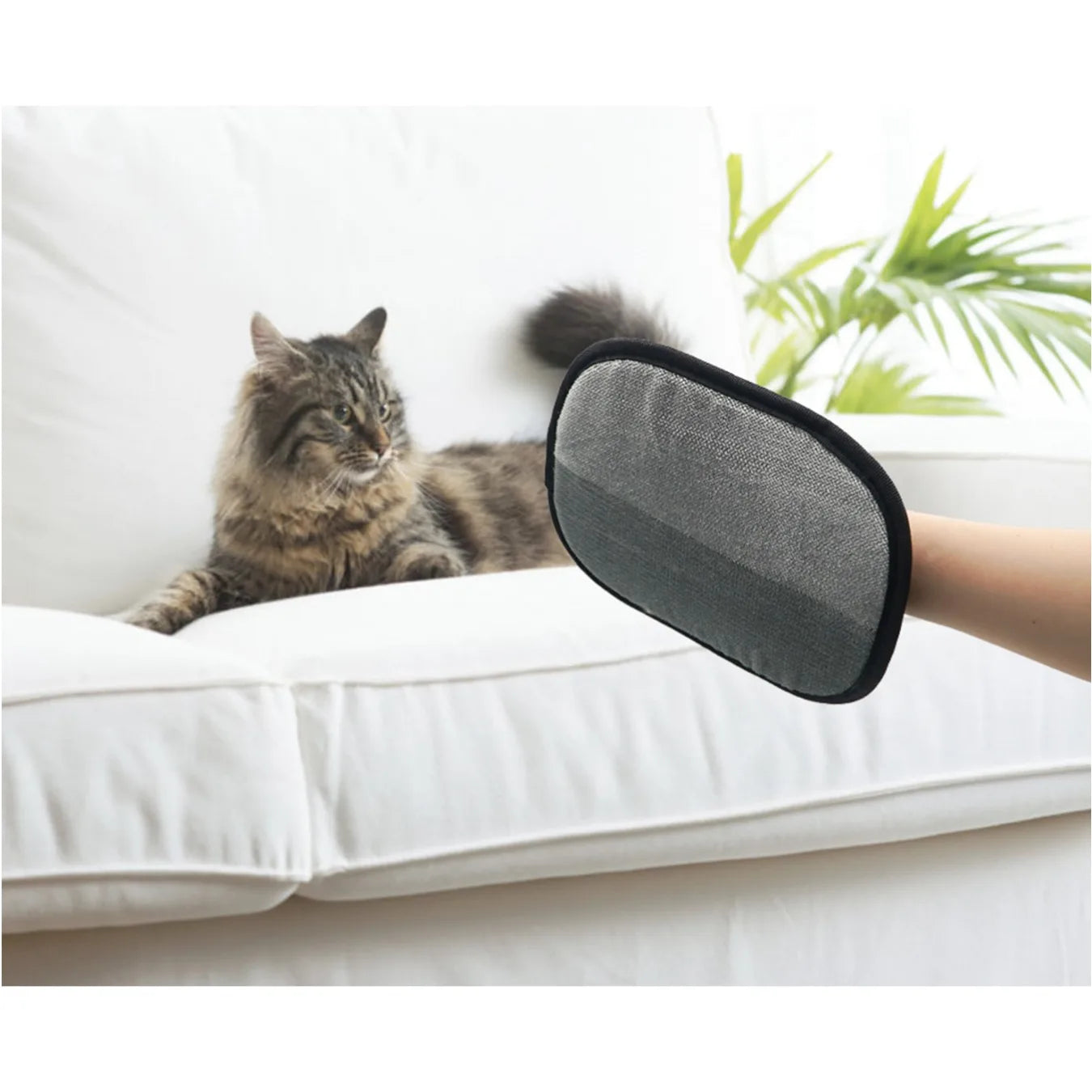 PawHaven Fur-Free Pet Hair Removal