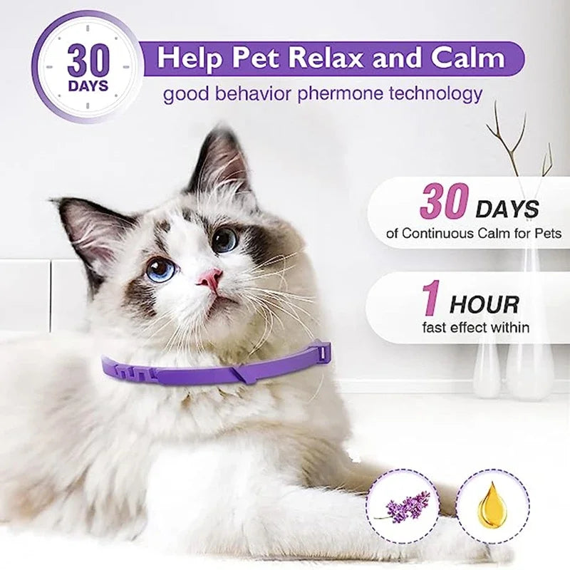 Calming Collar for Dogs & Cats | Natural Essential Oils | Anxiety & Stress Relief | Adjustable & Waterproof | 60-Day Wear