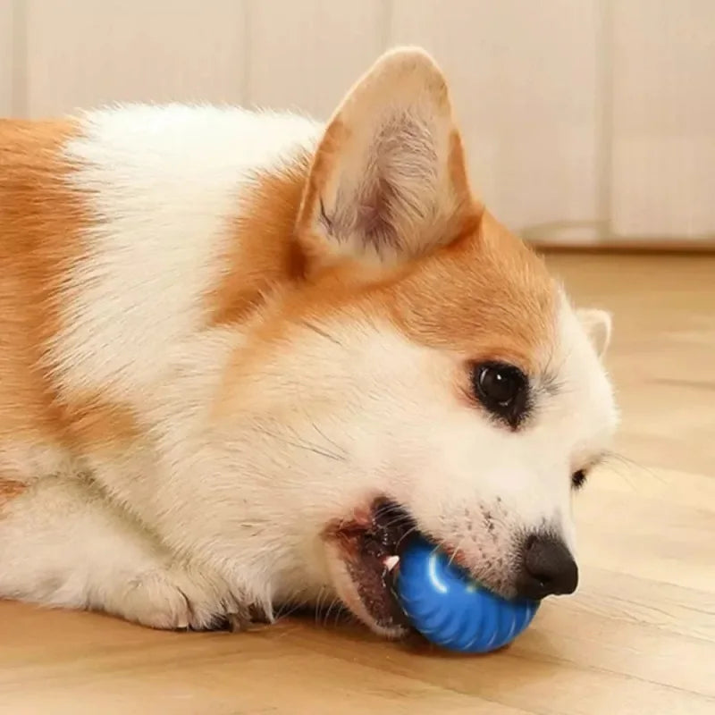 Automatic Rolling Dog Toy Ball