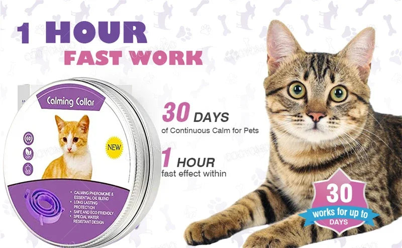 Calming Collar for Dogs & Cats | Natural Essential Oils | Anxiety & Stress Relief | Adjustable & Waterproof | 60-Day Wear