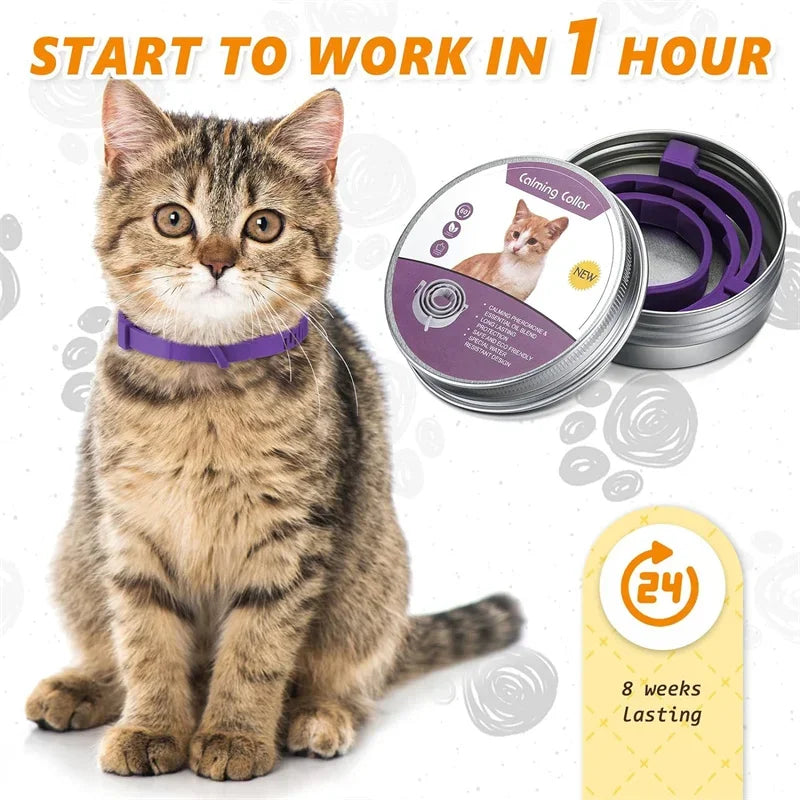 Calming Collar for Dogs & Cats | Natural Essential Oils | Anxiety & Stress Relief | Adjustable & Waterproof | 60-Day Wear