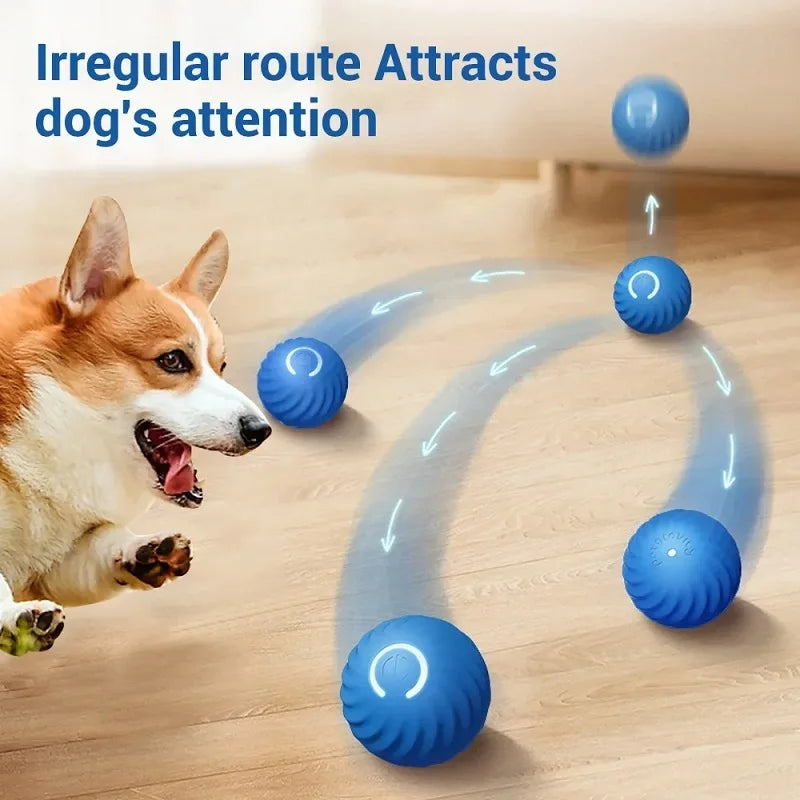Automatic Rolling Dog Toy Ball