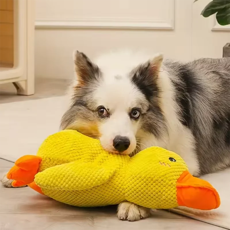 Quacking Duck Plush Dog Toy