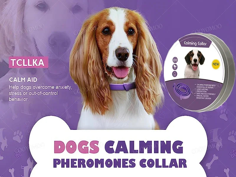 Calming Collar for Dogs & Cats | Natural Essential Oils | Anxiety & Stress Relief | Adjustable & Waterproof | 60-Day Wear