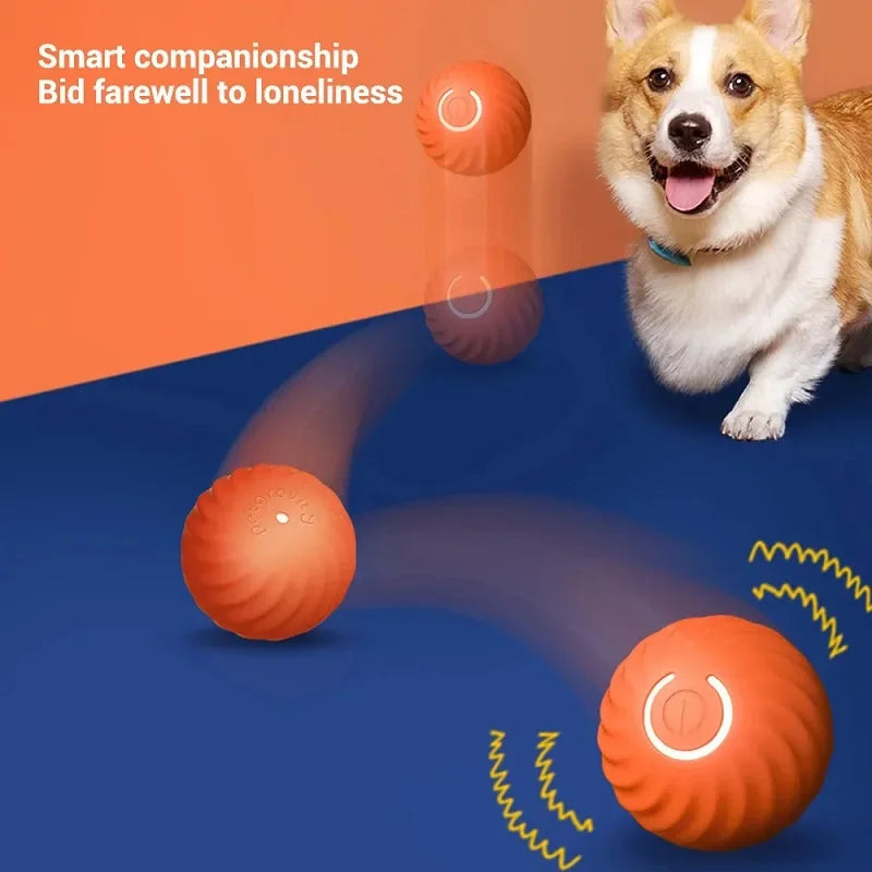 Automatic Rolling Dog Toy Ball
