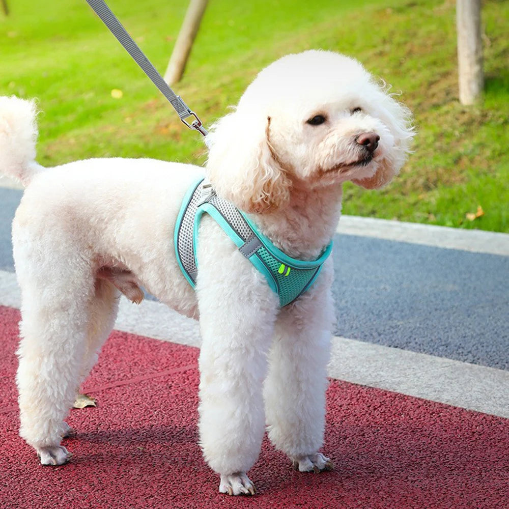 Reflective Adjustable Pet Harness – Breathable Vest for Small & Medium Dogs