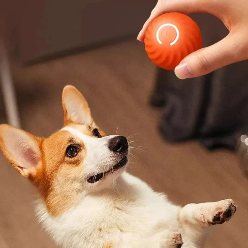 Automatic Rolling Dog Toy Ball