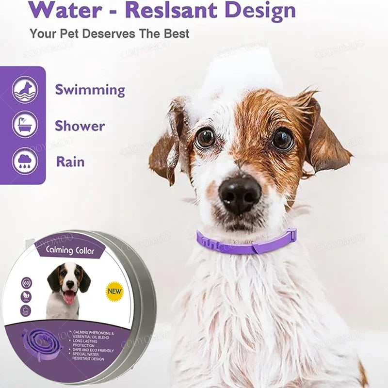 Calming Collar for Dogs & Cats | Natural Essential Oils | Anxiety & Stress Relief | Adjustable & Waterproof | 60-Day Wear