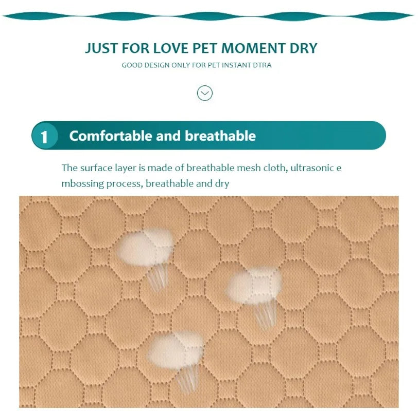 Washable Dog Training Pad – Reusable Absorbent Pet Mat