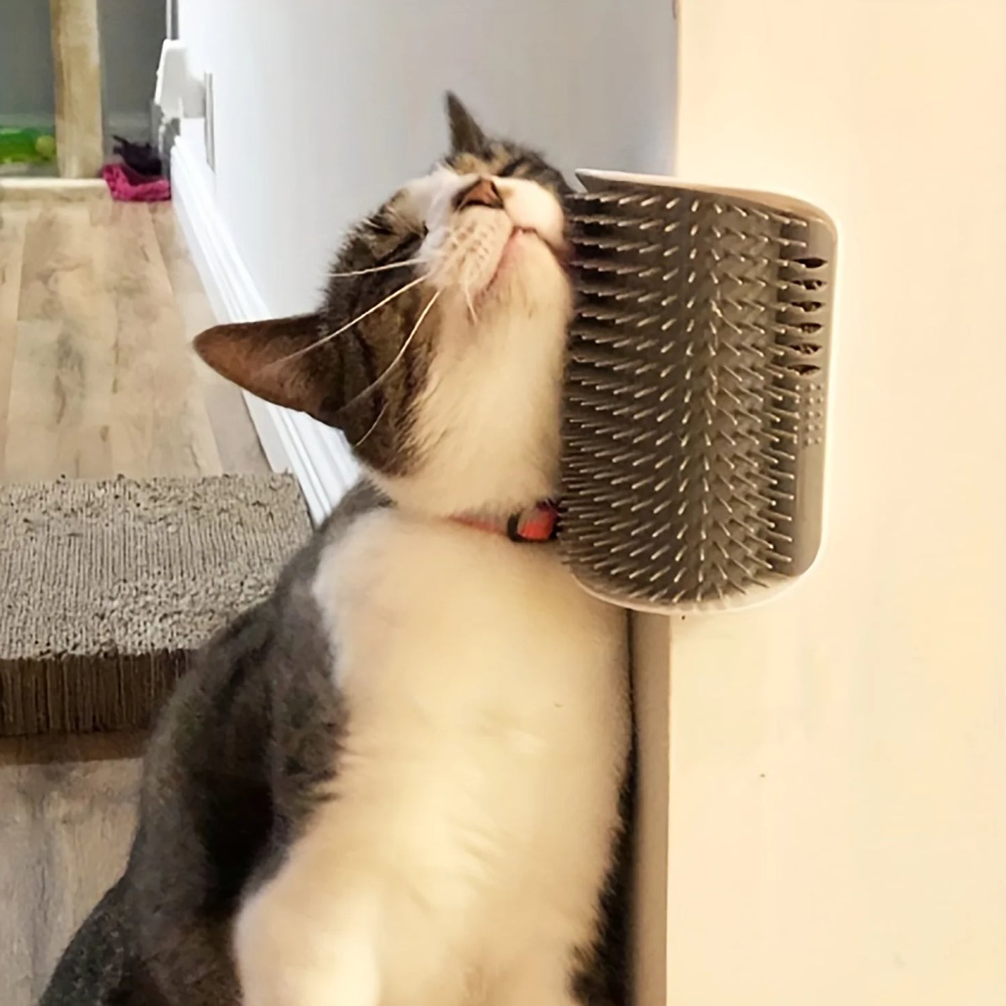 Wall-Mounted Cat Self-Groomer – Massage Comb Brush for Cats & Kittens