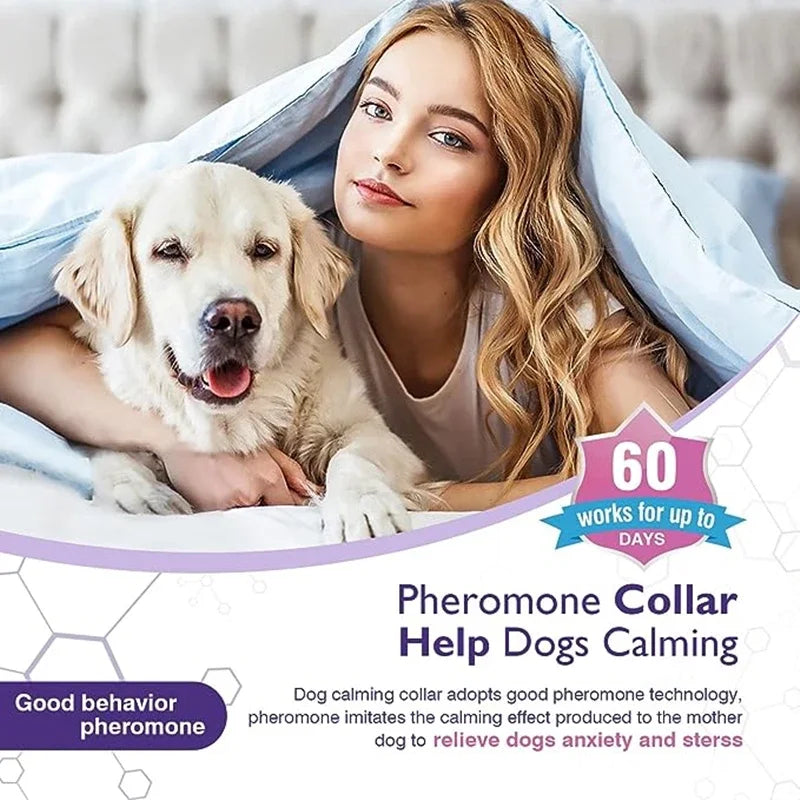Calming Collar for Dogs & Cats | Natural Essential Oils | Anxiety & Stress Relief | Adjustable & Waterproof | 60-Day Wear