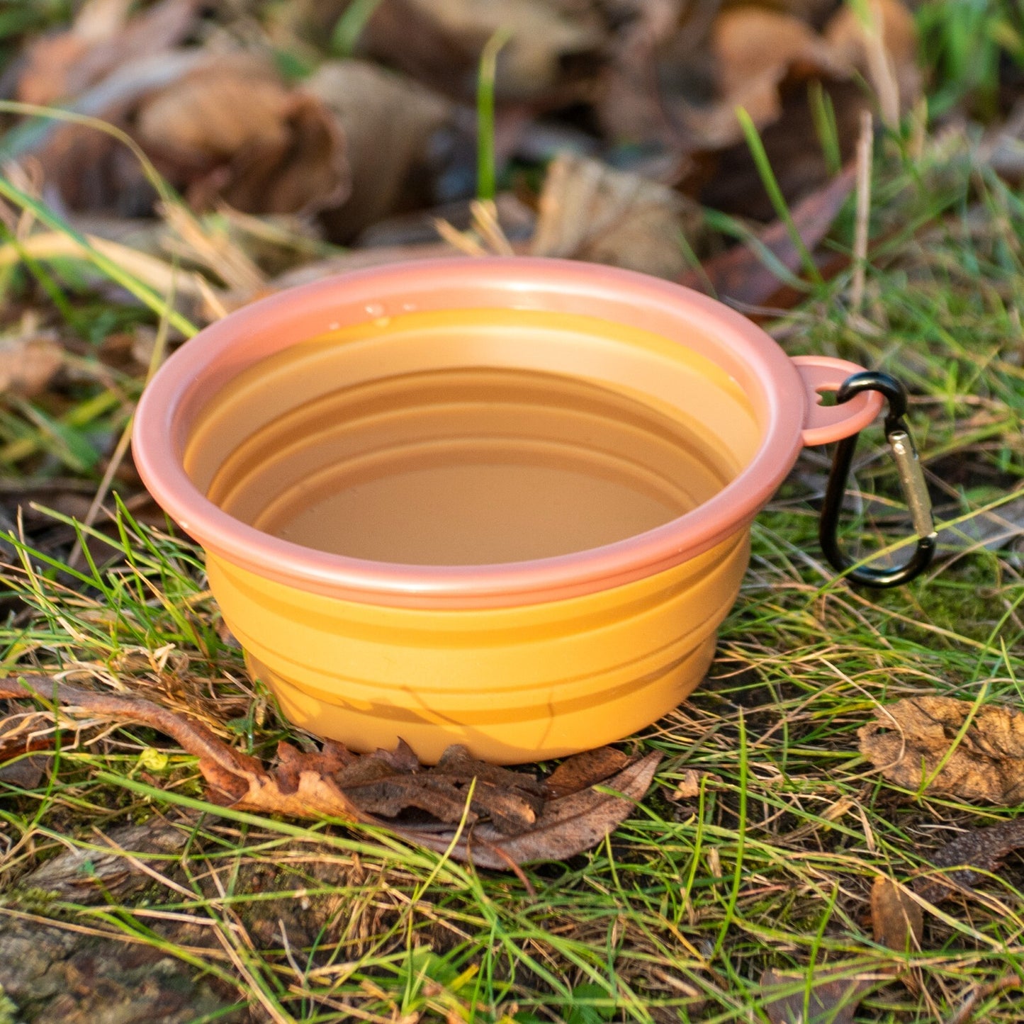Made Easy Kit Portable Collapsible Travel Pet Bowl for Water or Food, in 2 Sizes