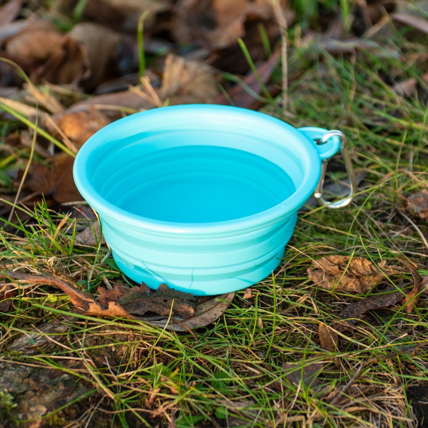 Made Easy Kit Portable Collapsible Travel Pet Bowl for Water or Food, in 2 Sizes