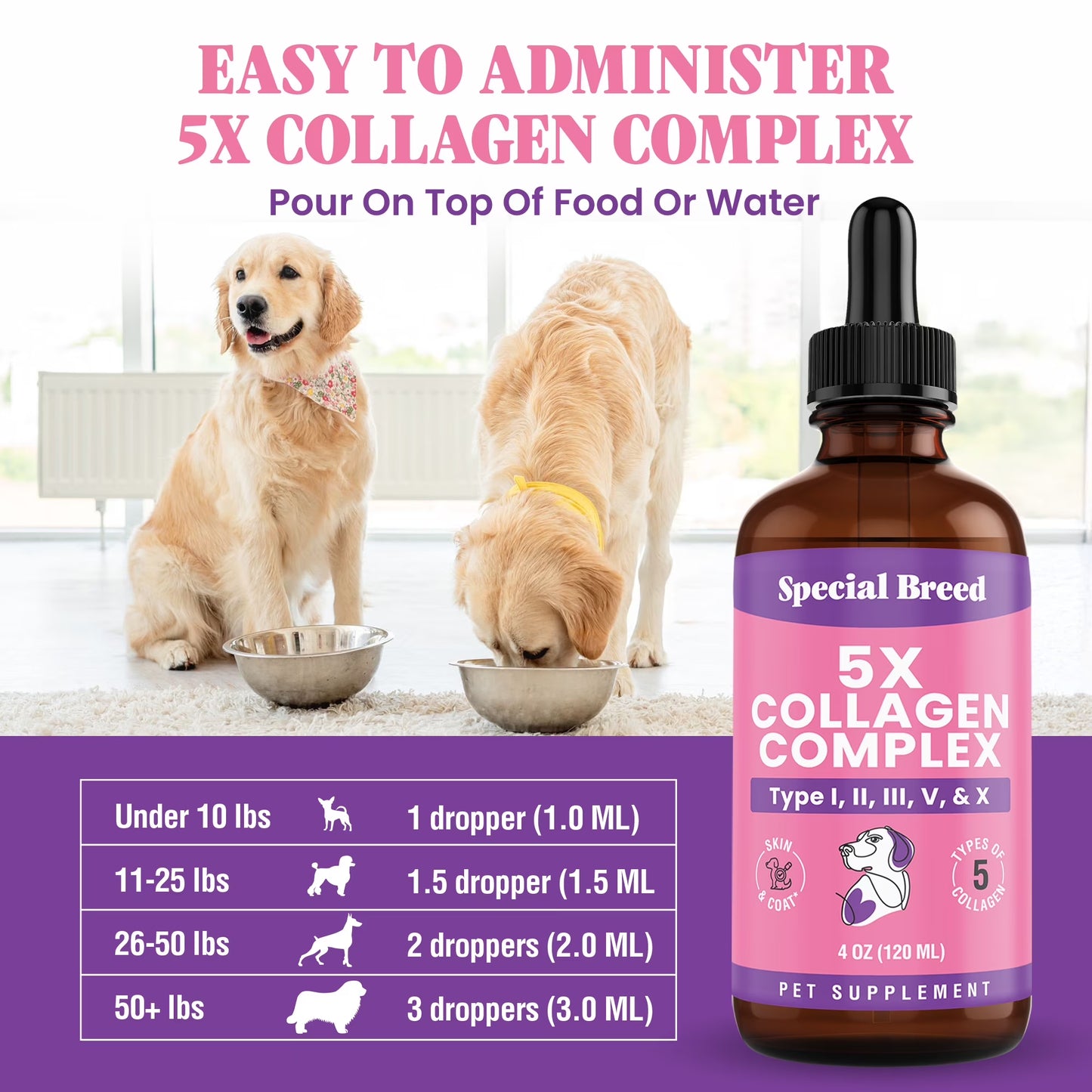 Premium Liquid Collagen for Dogs - 5X Collagen Types I, II, II, V & X - Support for Joints, Skin, Coat, Bone, Immune System & Hips - Collagen Supplement with Hyaluronic Acid - Made in USA - 4Oz